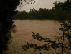 2013-06-02_Regina-F-Rau_Geretsrieder-Stadtbach_Isar (61).JPG